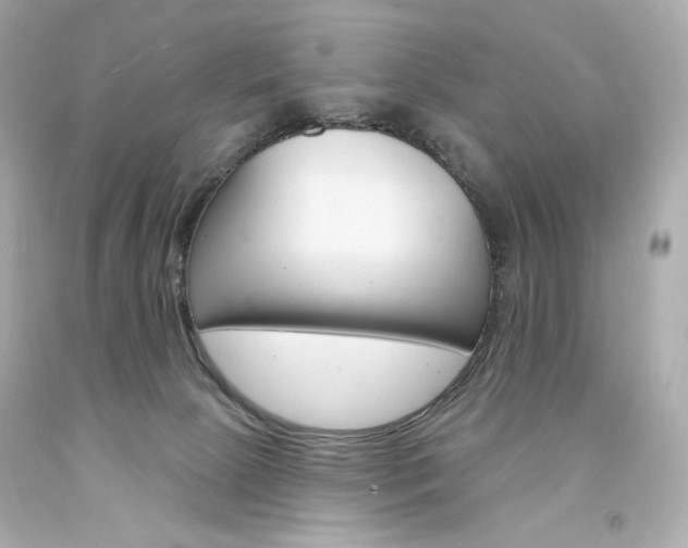X0000094350081200711021323