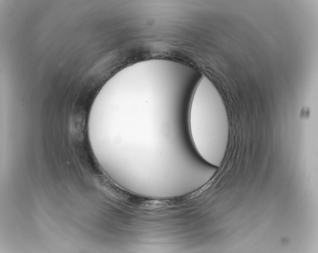 X0000094350082200711021323
