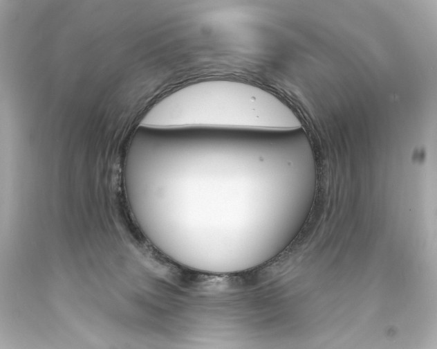 X0000094350083200711021323