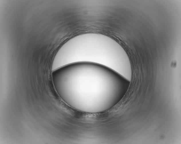 X0000094350084200711021323