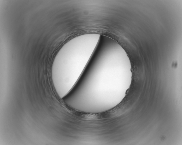 X0000094350085200711021323