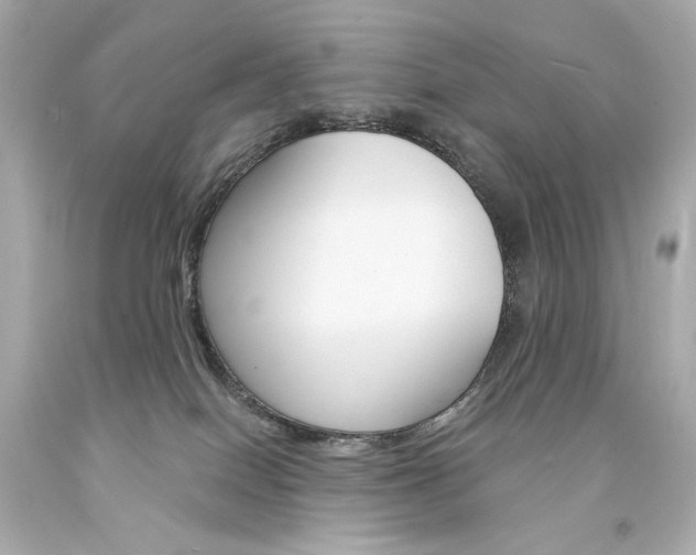 X0000094350086200711021323