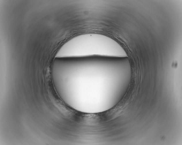X0000094350087200711021323