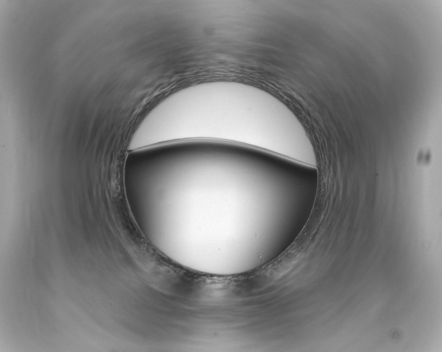 X0000094350088200711021323