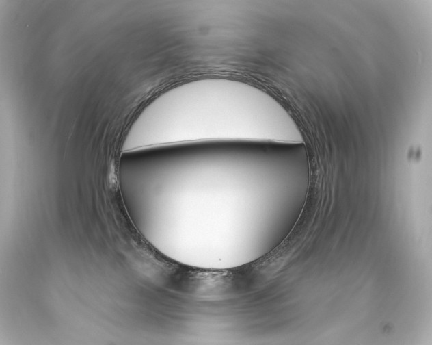X0000094350089200711021323