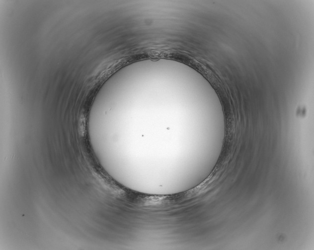 X0000094350090200711021323