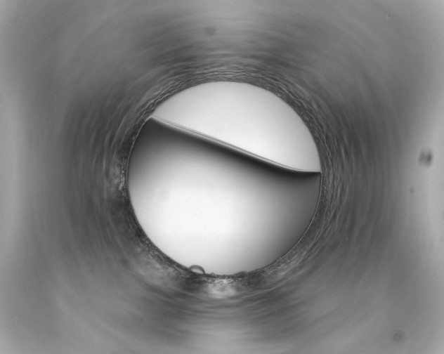 X0000094350091200711021323
