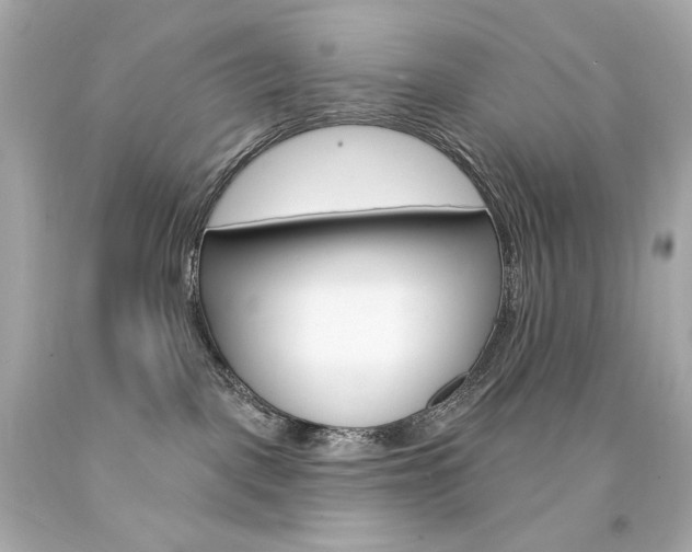 X0000094350093200711021323