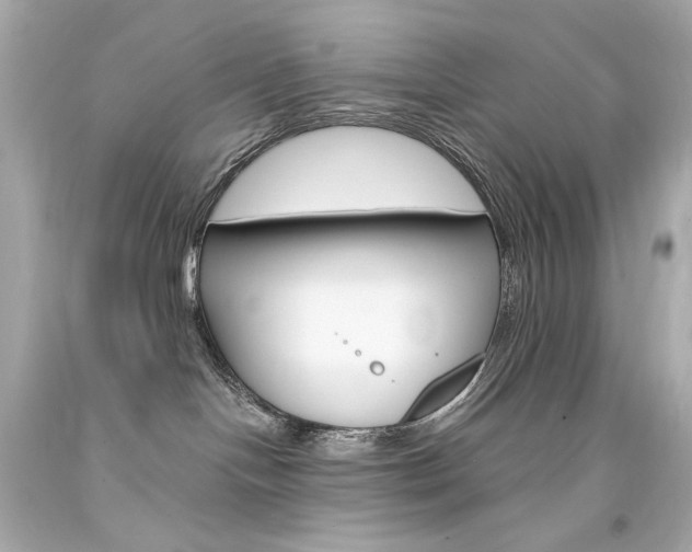 X0000094350094200711021323