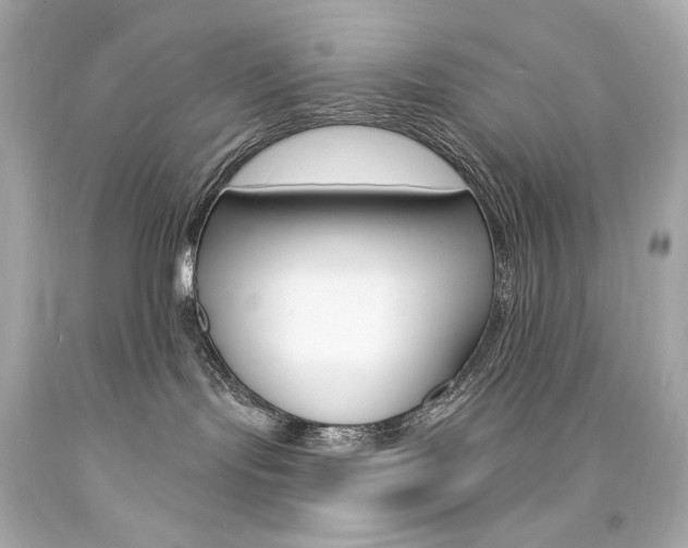 X0000094350095200711021323