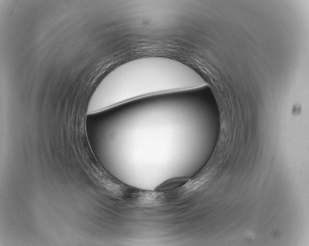 X0000094350096200711021323