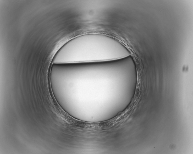 X0000094350099200711021322