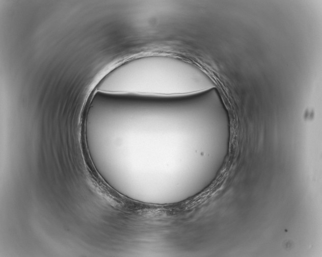 X0000094350100200711021322