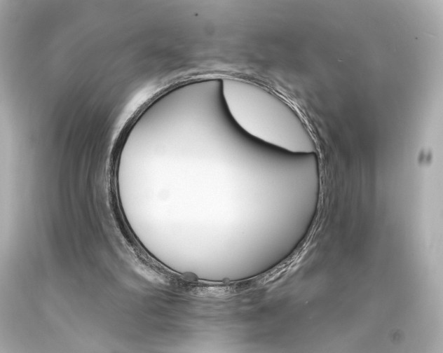 X0000094350102200711021322