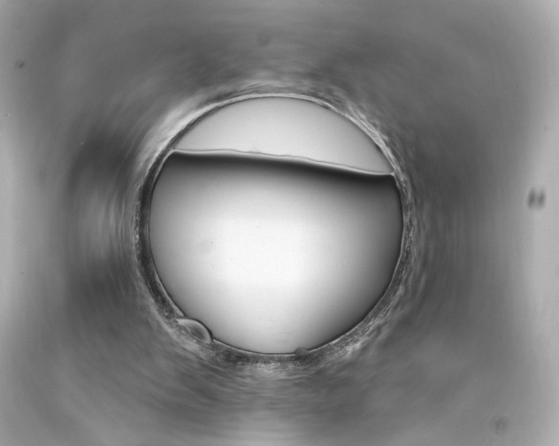 X0000094350103200711021322