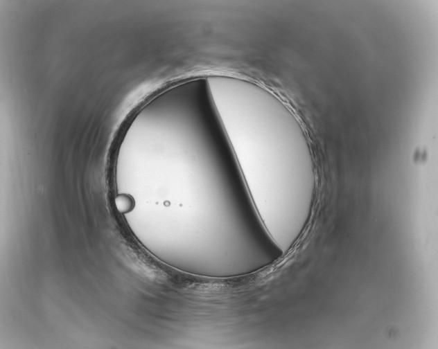 X0000094350104200711021322