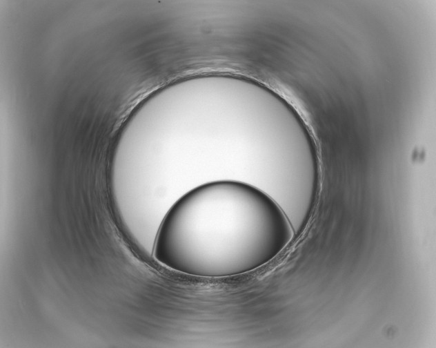 X0000094350105200711021322