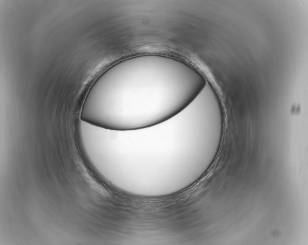 X0000094350106200711021322