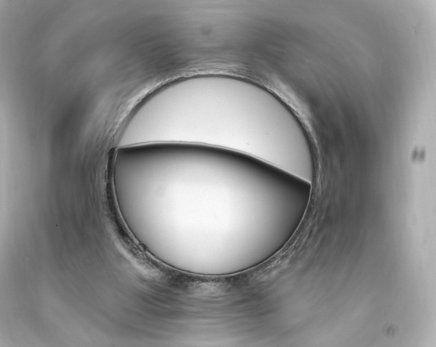 X0000094350107200711021322