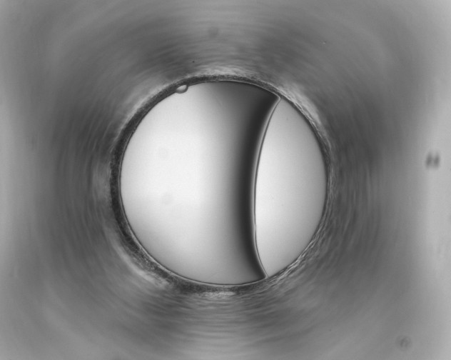 X0000094350108200711021322