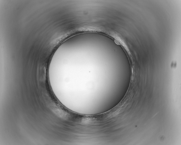 X0000094350109200711021322