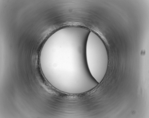 X0000094350110200711021322