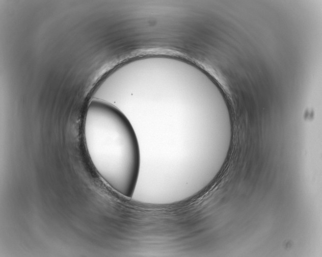 X0000094350111200711021322