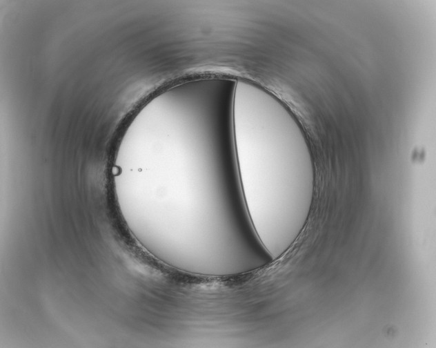 X0000094350112200711021322
