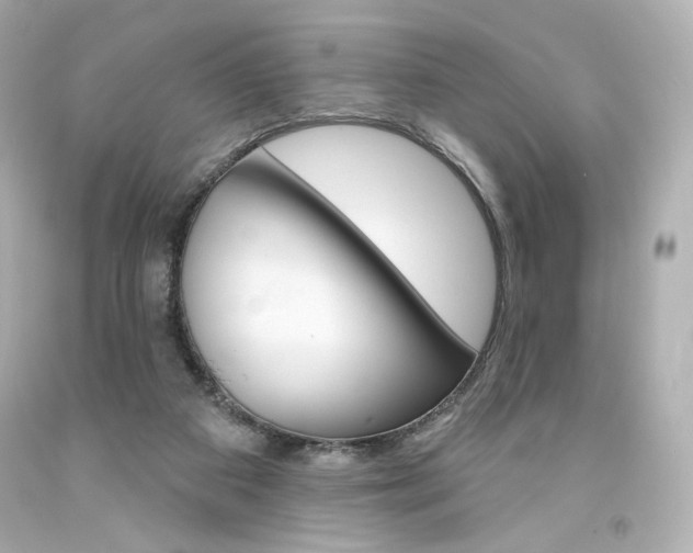 X0000094350113200711021322