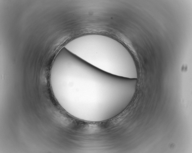 X0000094350114200711021322