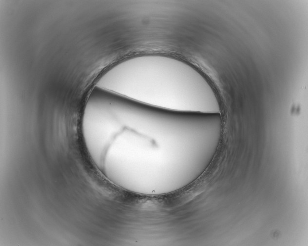 X0000094350115200711021322