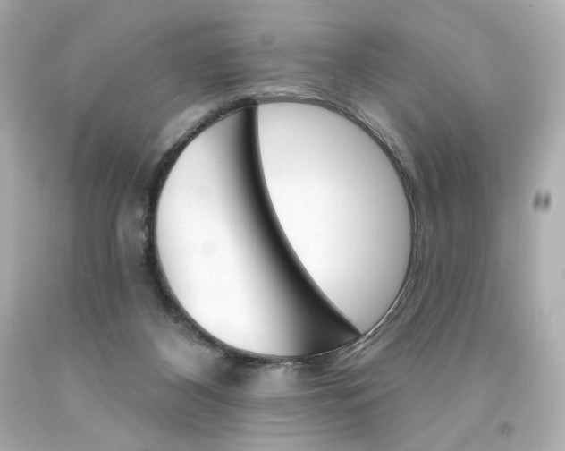 X0000094350116200711021322