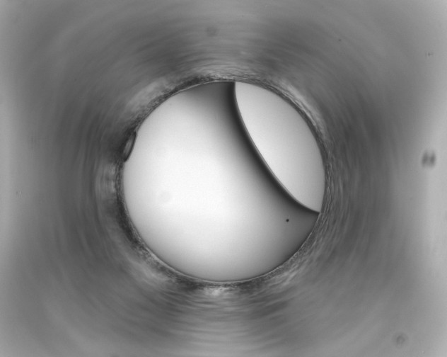 X0000094350117200711021322