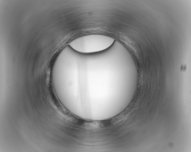 X0000094350118200711021322