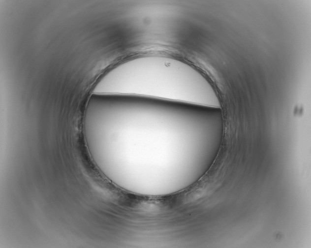 X0000094350119200711021322