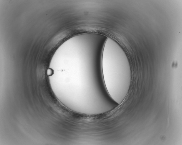X0000094350120200711021322