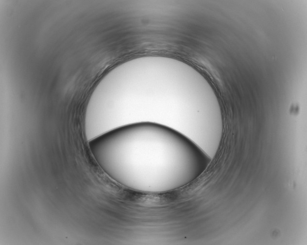 X0000094350123200711021322
