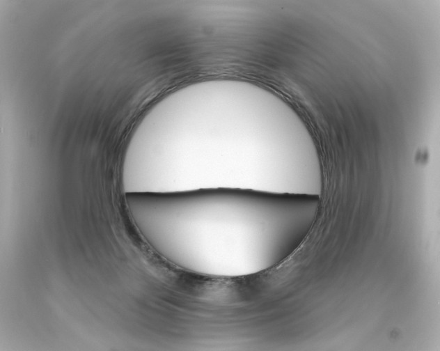 X0000094350124200711021322