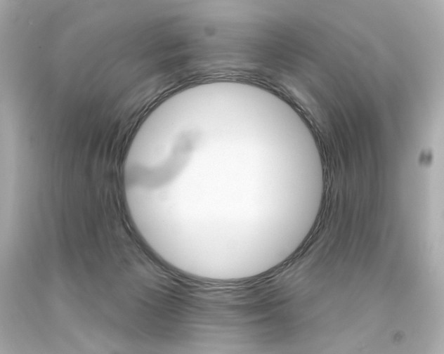 X0000094350125200711021322