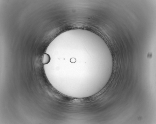 X0000094350126200711021322