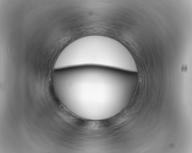 X0000094350127200711021322