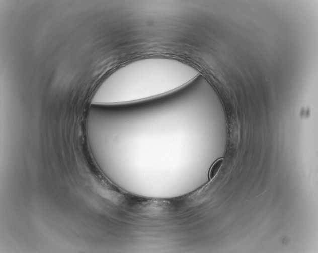 X0000094350128200711021322