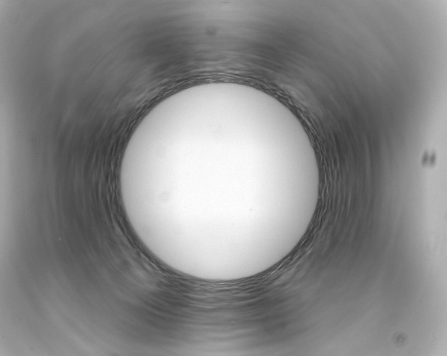 X0000094350129200711021322