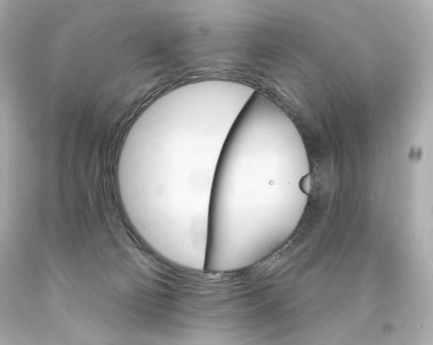 X0000094350130200711021322