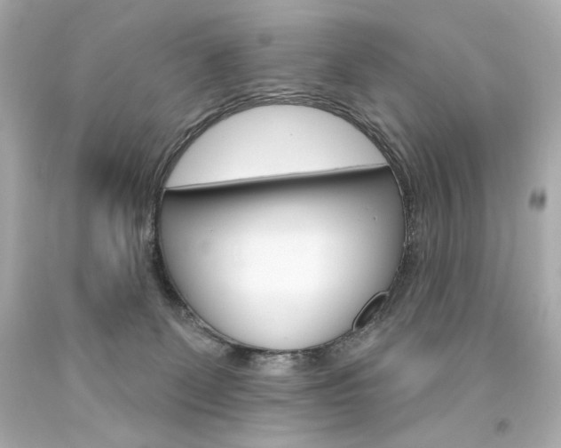 X0000094350131200711021322