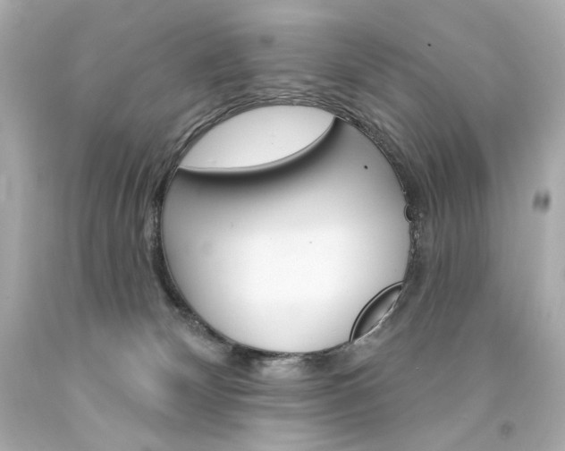 X0000094350132200711021322
