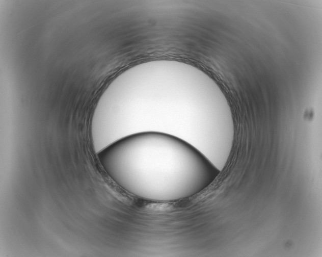 X0000094350133200711021322