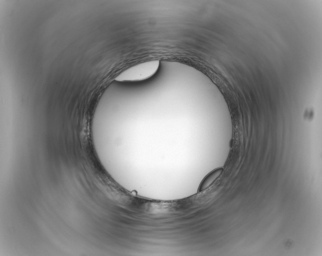 X0000094350134200711021322