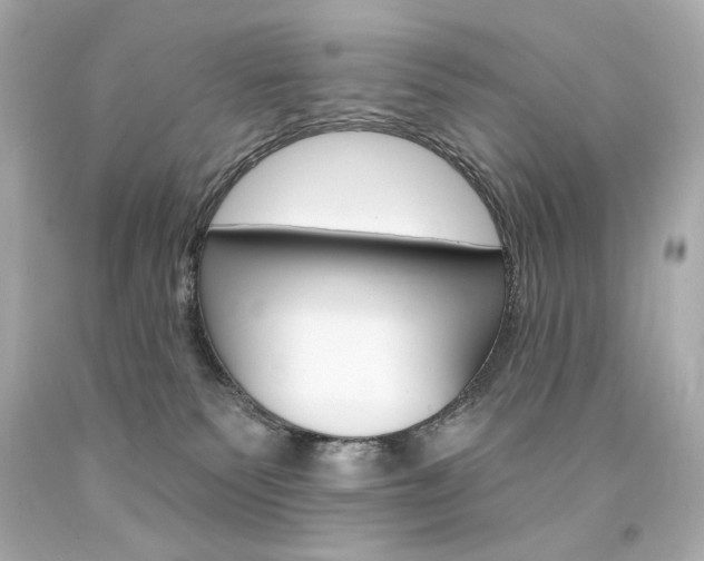 X0000094350135200711021322