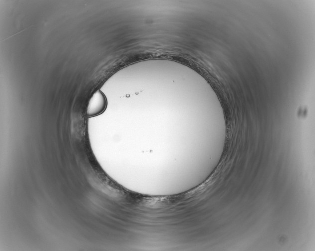 X0000094350136200711021322